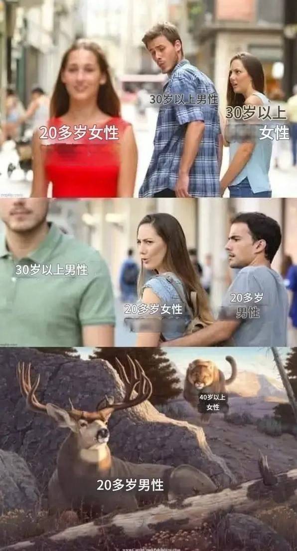 3DM轻松一刻第1590期 中国的语言真是博大精深！