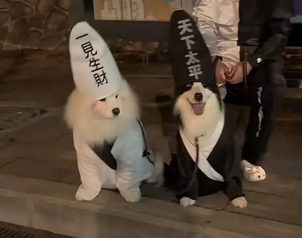 3DM轻松一刻第1590期 中国的语言真是博大精深！