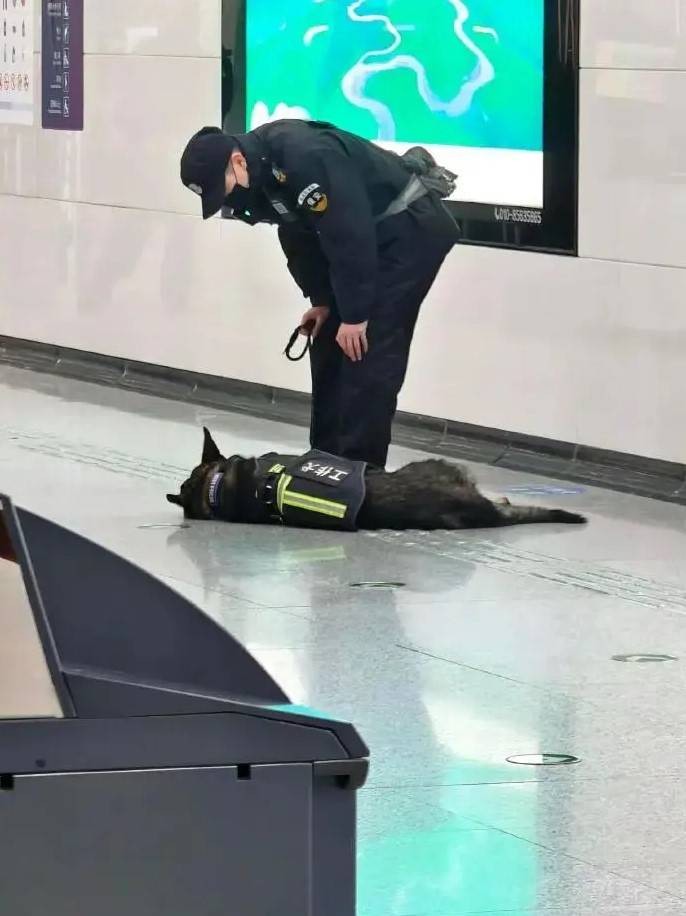 3DM轻松一刻第1590期 中国的语言真是博大精深！