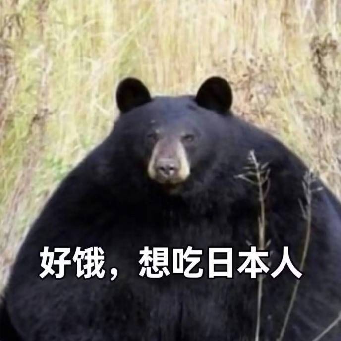 3DMһ̵1592 aiһͻȻѿӴ