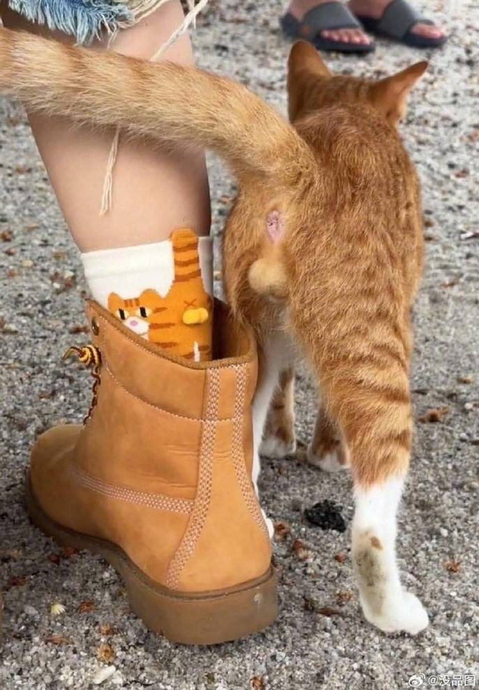 3DMһ̵1592 aiһͻȻѿӴ