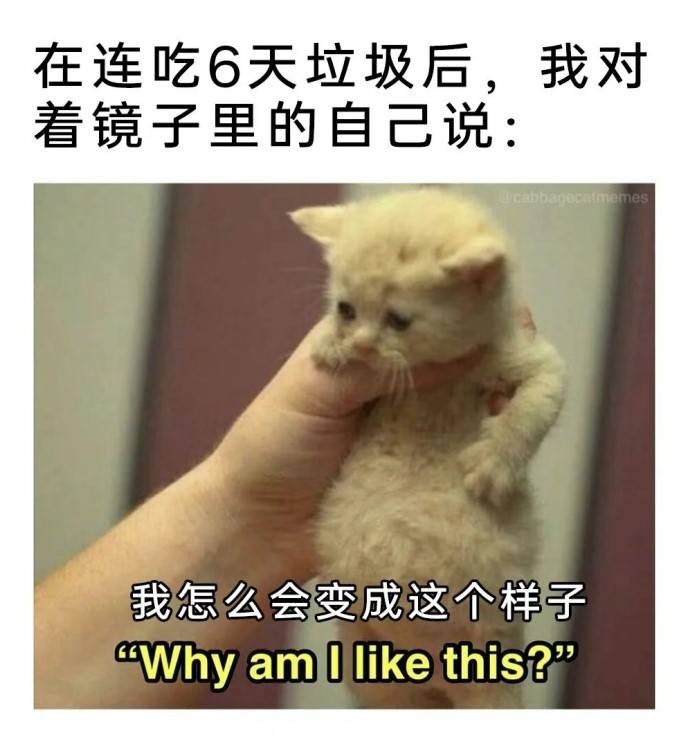 3DMһ̵1592 aiһͻȻѿӴ