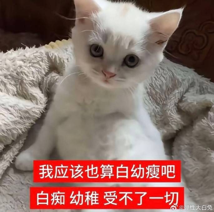 3DMһ̵1592 aiһͻȻѿӴ