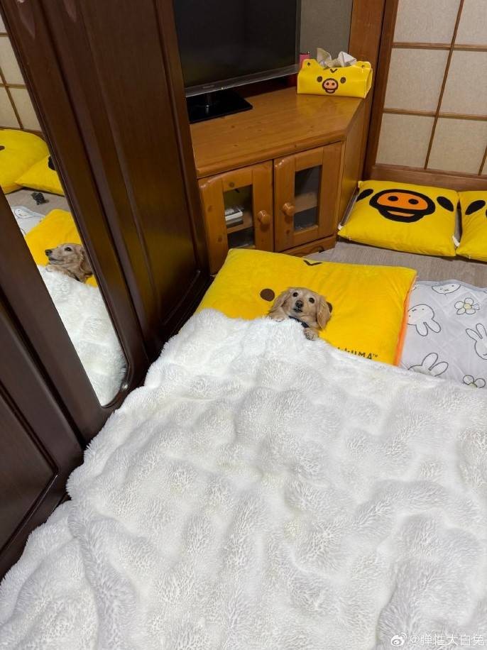 3DMһ̵1592 aiһͻȻѿӴ