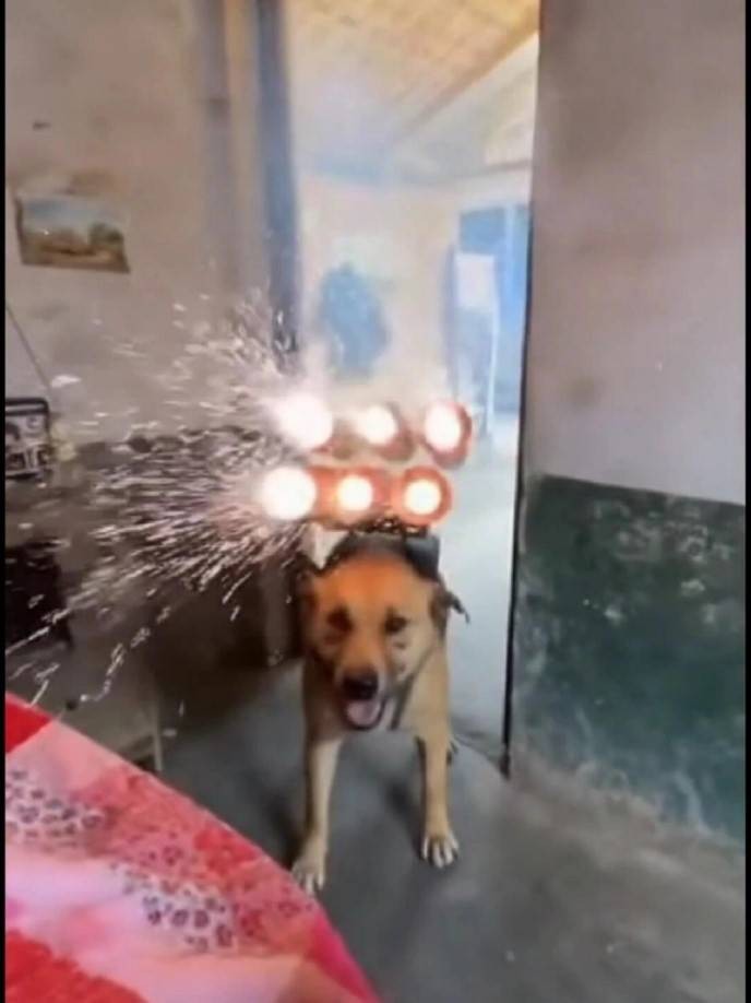 3DMһ̵1592 aiһͻȻѿӴ