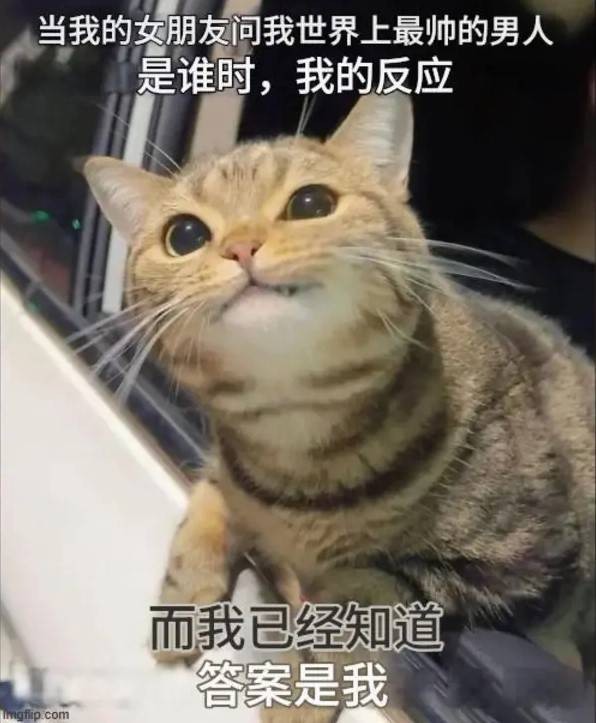 3DMһ̵1593 ӲܰƶǮܰ׻