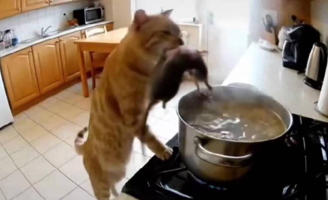 ��һ�ں���ͼ�Ʒ�ϵ�� ��ʱ���˿Ҳ�������ܵģ�