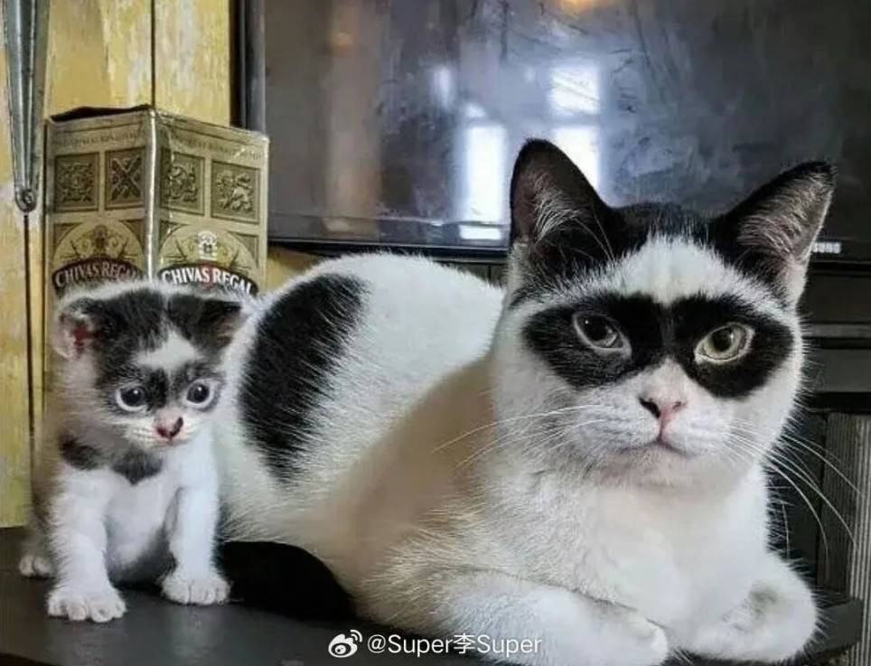 ��һ�ں���ͼ�Ʒ�ϵ�� ��ʱ���˿Ҳ�������ܵģ�