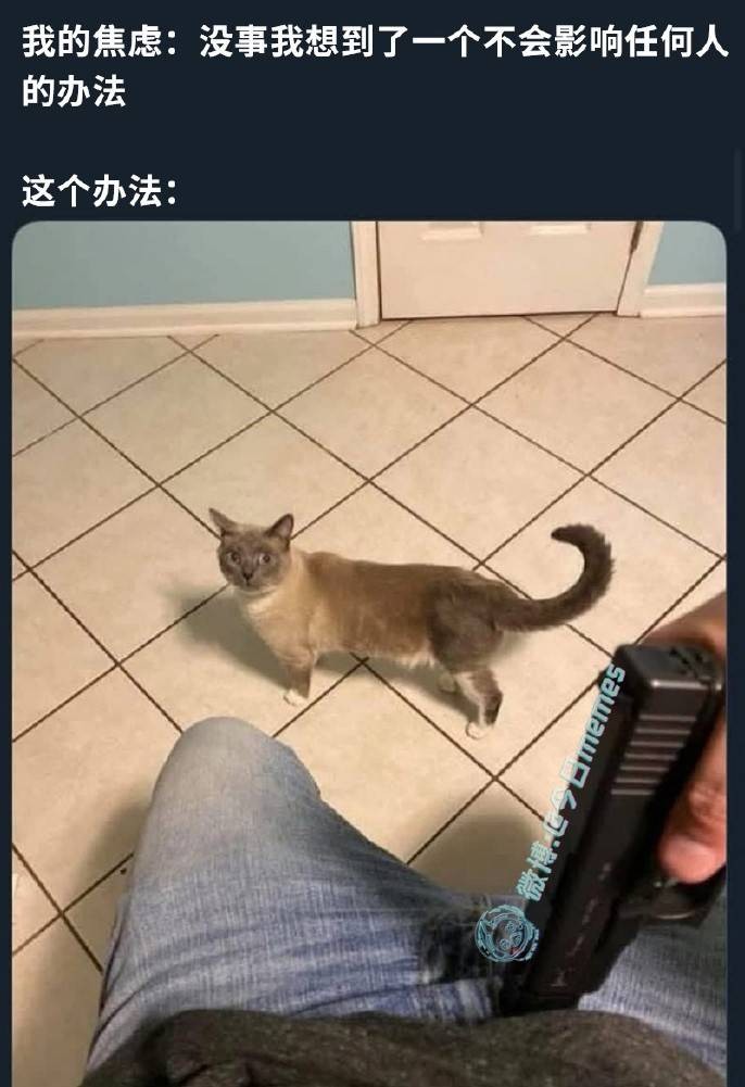 3DMһ̵1596 ɲܲٵܲ٣