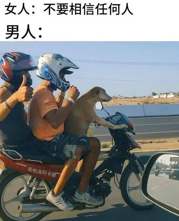 3DMһ̵1596 ɲܲٵܲ٣