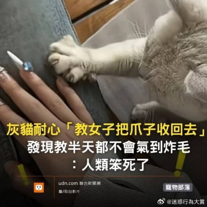 3DMһ̵1596 ɲܲٵܲ٣