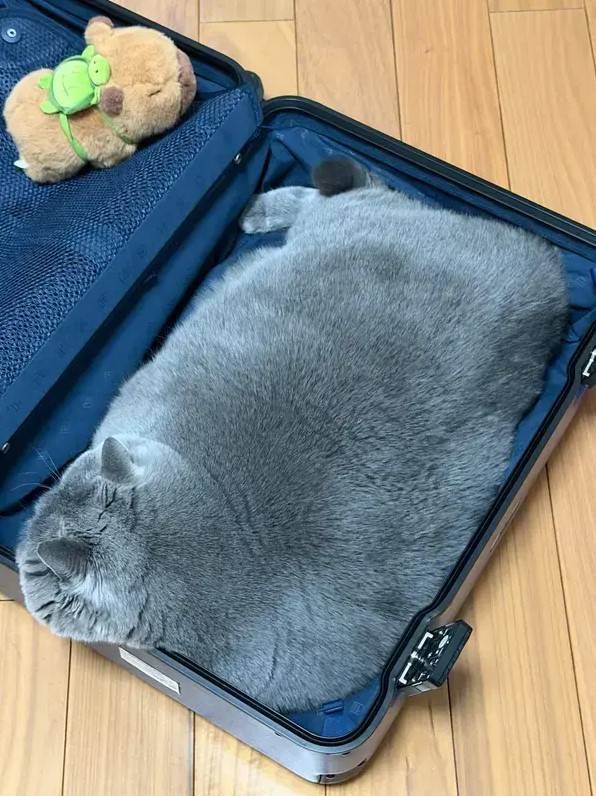 3DM轻松一刻第1597期 女朋友做的饭有点不敢吃