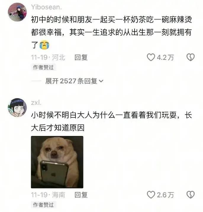 3DM轻松一刻第1597期 女朋友做的饭有点不敢吃