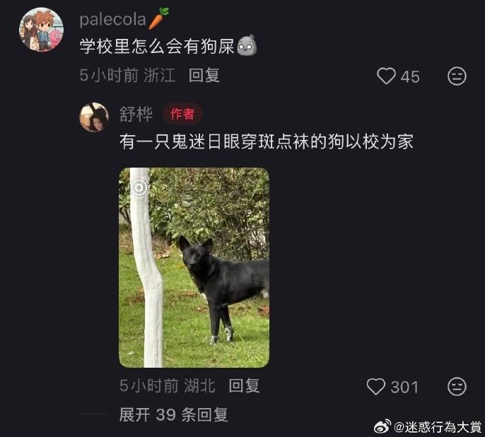 3DMһ̵1597 Ůķе㲻ҳ