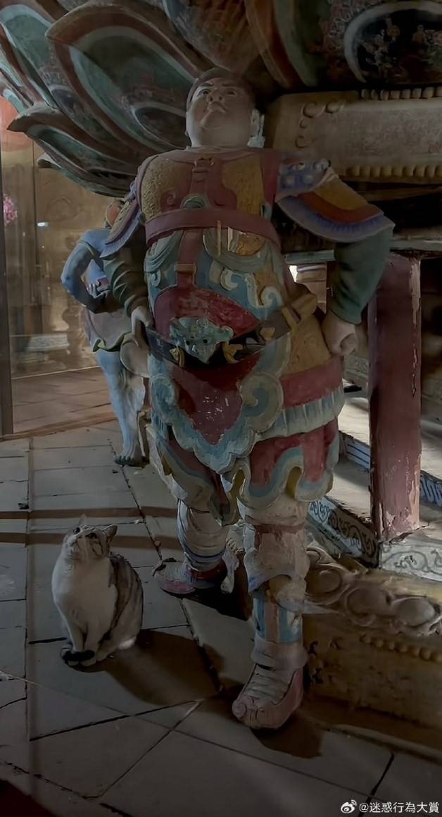 3DMһ̵1597 Ůķе㲻ҳ