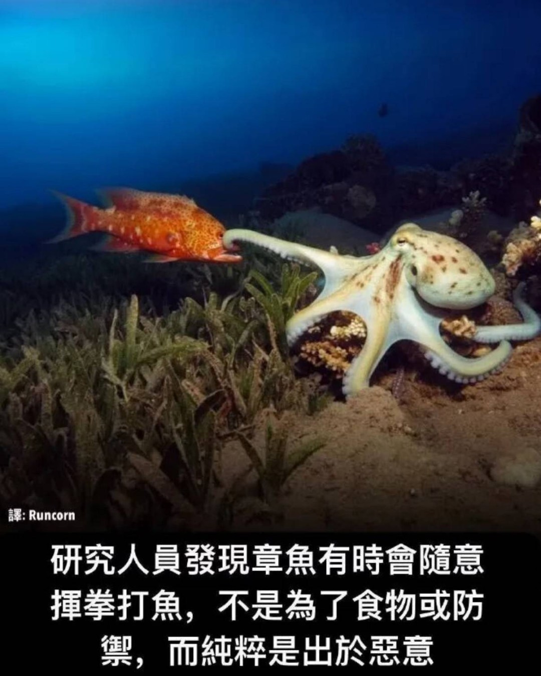 3DMһ̵1598 ֲõӾô˿