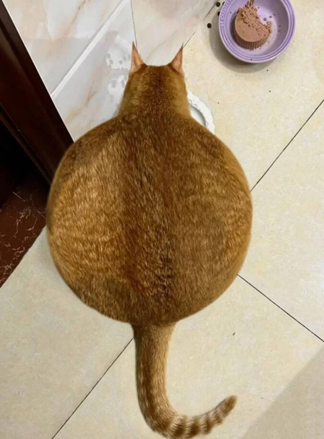 3DMһ̵1598 ֲõӾô˿