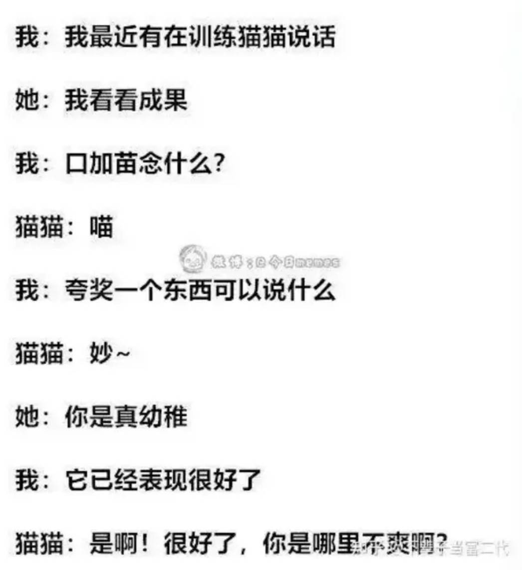 3DMһ̵1598 ֲõӾô˿