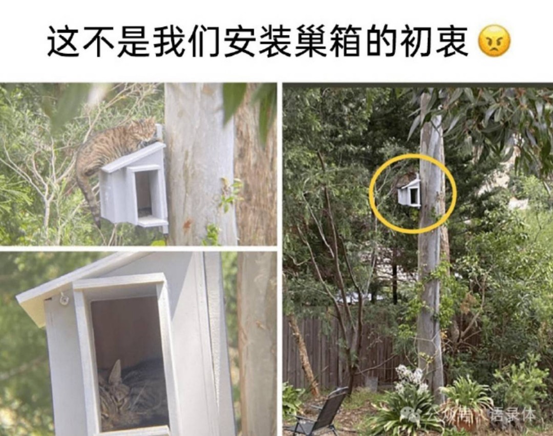 帣ͼƷϵ ʲôϷŮôң