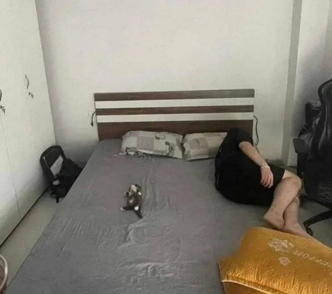 帣ͼƷϵ ʲôϷŮôң