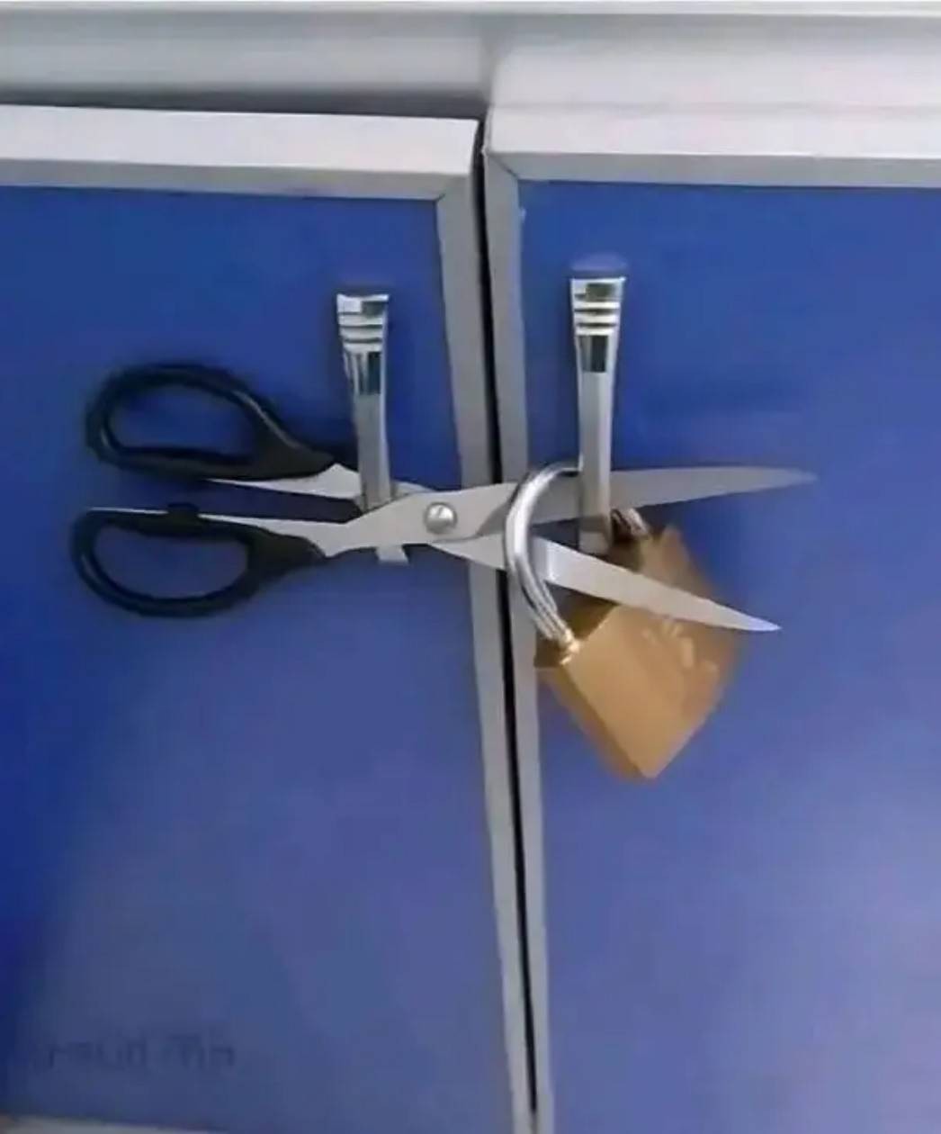 帣ͼƷϵ ʲôϷŮôң