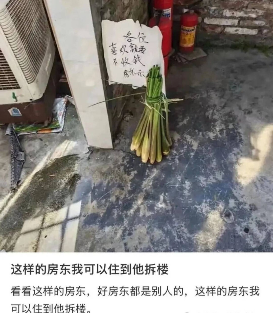 帣ͼƷϵ ʲôϷŮôң