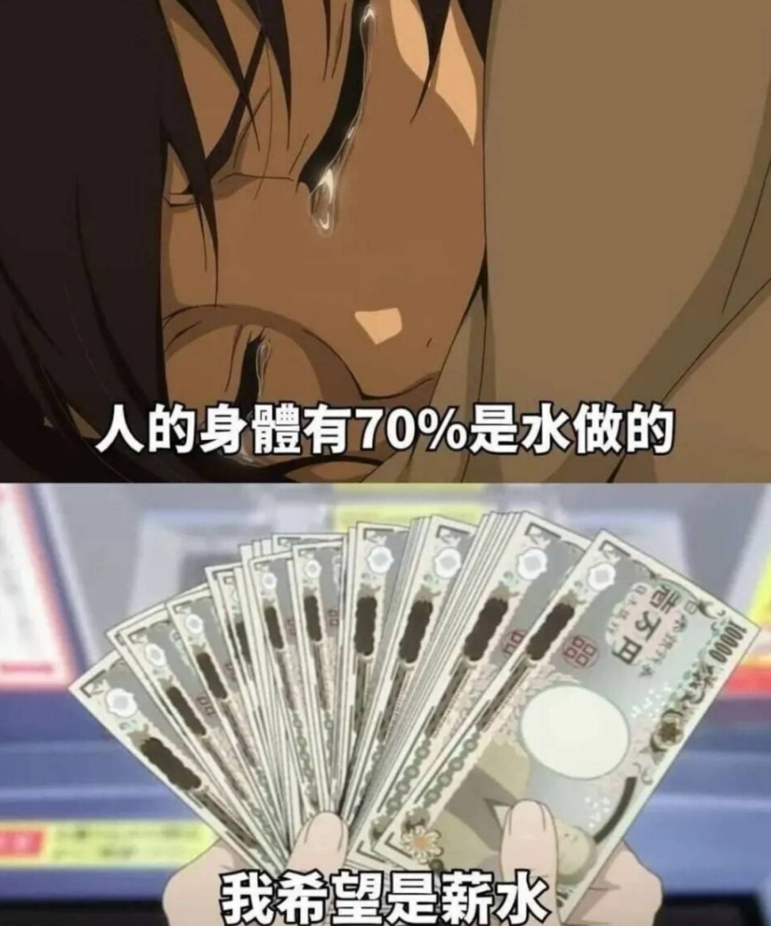 3DMһ̵1599 û˸ѧǮ;