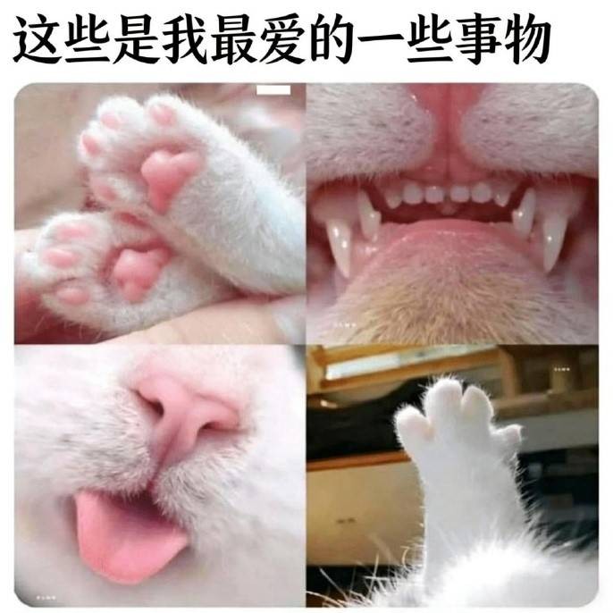 3DMһ̵1599 û˸ѧǮ;