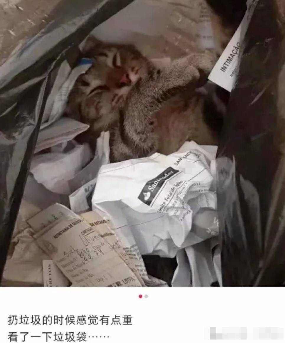 ��һ�ں���ͼ�Ʒ�ϵ�� ���Ǹ��и�ҵ����Կɲ���