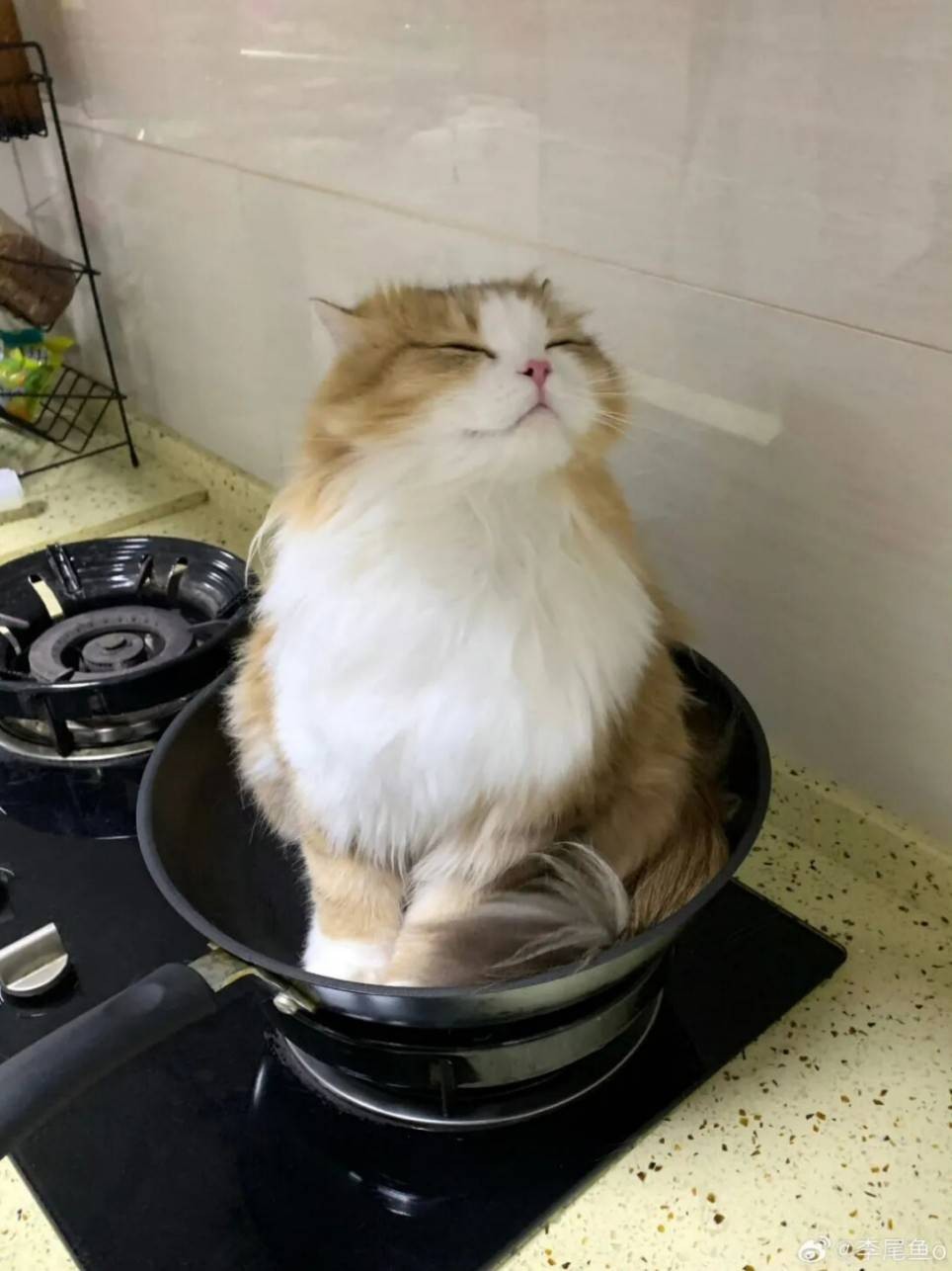 ��һ�ں���ͼ�Ʒ�ϵ�� ���Ǹ��и�ҵ����Կɲ���