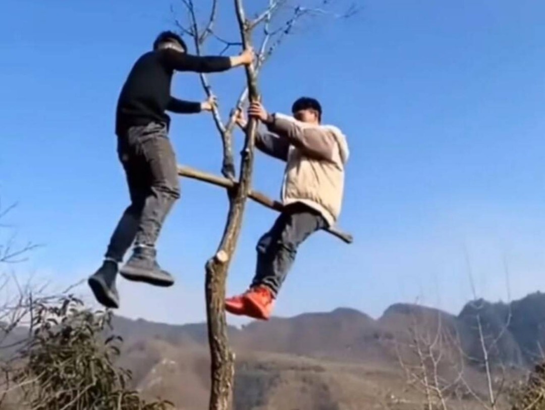 ��һ�ں���ͼ�Ʒ�ϵ�� ���Ǹ��и�ҵ����Կɲ���