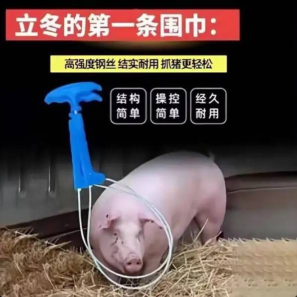 3DM����һ�̵�1600�� �����и��ǳ����ɵ�Ů����