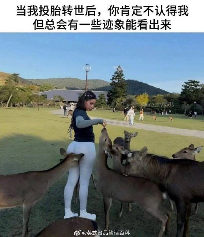 3DM����һ�̵�1600�� �����и��ǳ����ɵ�Ů����