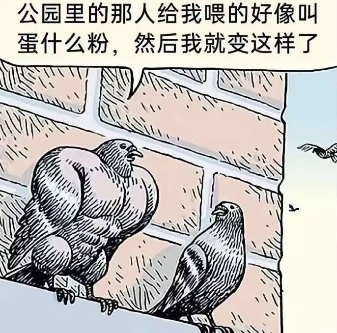 3DM����һ�̵�1600�� �����и��ǳ����ɵ�Ů����