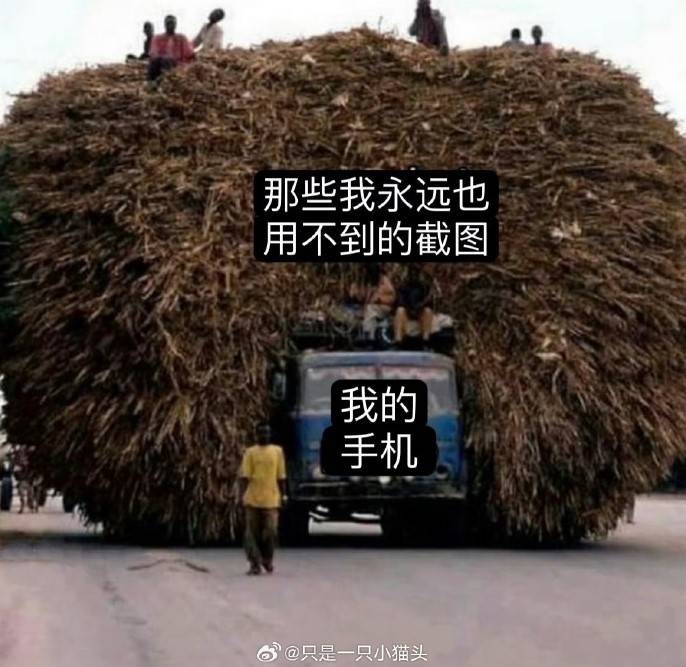 3DM����һ�̵�1600�� �����и��ǳ����ɵ�Ů����