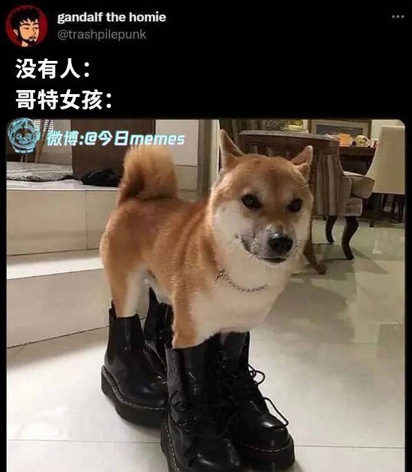 3DM����һ�̵�1600�� �����и��ǳ����ɵ�Ů����