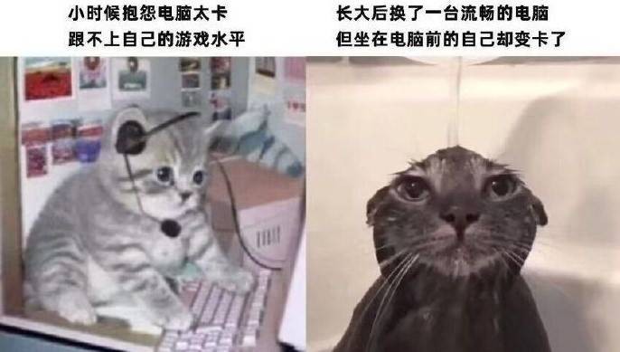 3DM����һ�̵�1602�� ��˵��Ů�����º�����ζ��