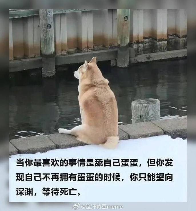 3DM����һ�̵�1602�� ��˵��Ů�����º�����ζ��