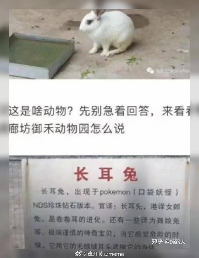 3DM����һ�̵�1602�� ��˵��Ů�����º�����ζ��