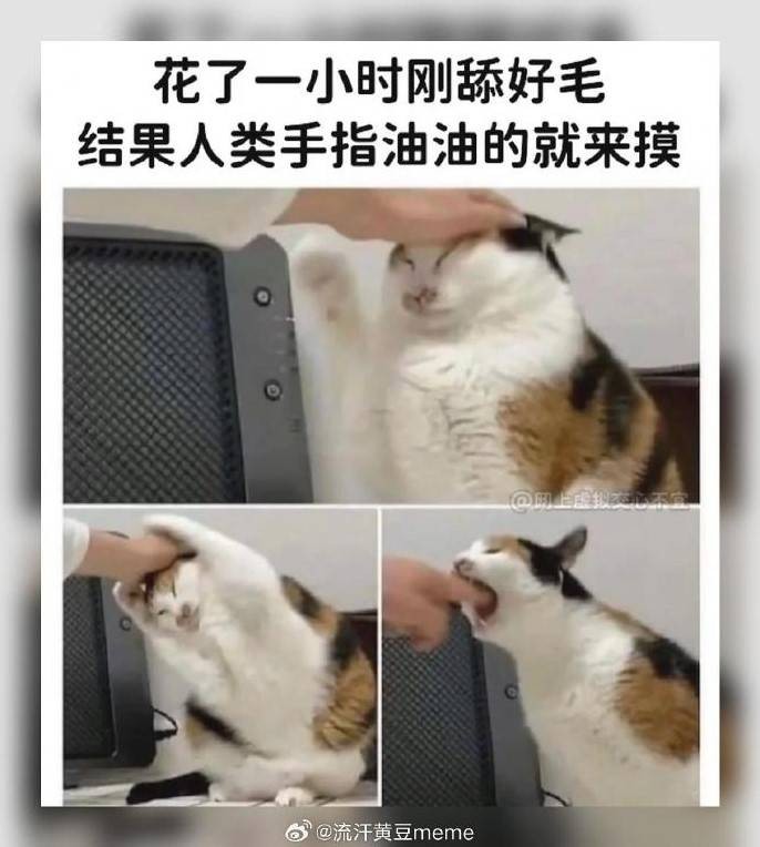 3DM����һ�̵�1602�� ��˵��Ů�����º�����ζ��