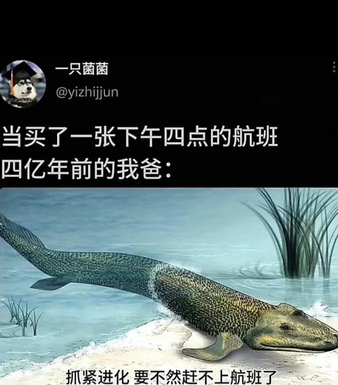 3DM����һ�̵�1602�� ��˵��Ů�����º�����ζ��