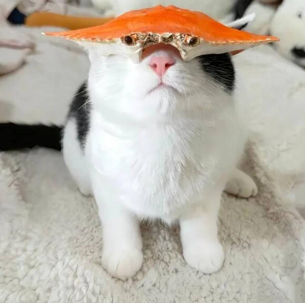 ���帣����ͼ�Ʒ�ϵ�� �ϰ���Ȼ��ζͬ���쳣��ζ