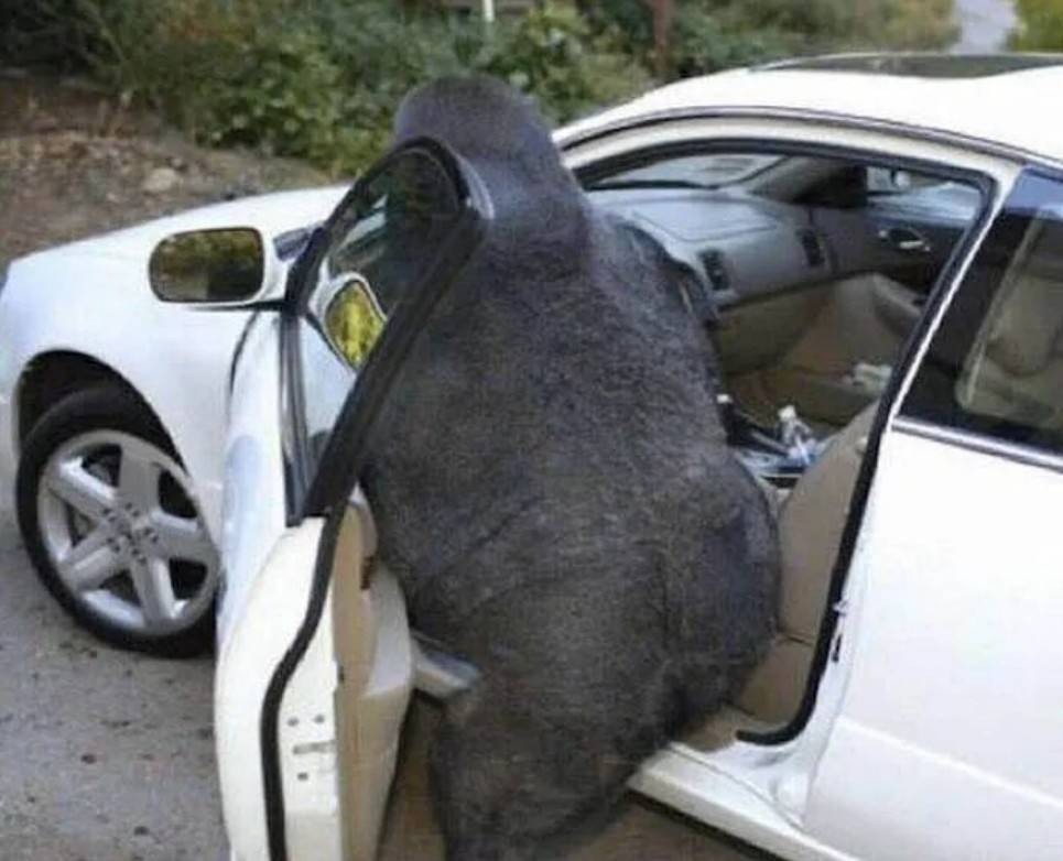 ���帣����ͼ�Ʒ�ϵ�� �ϰ���Ȼ��ζͬ���쳣��ζ