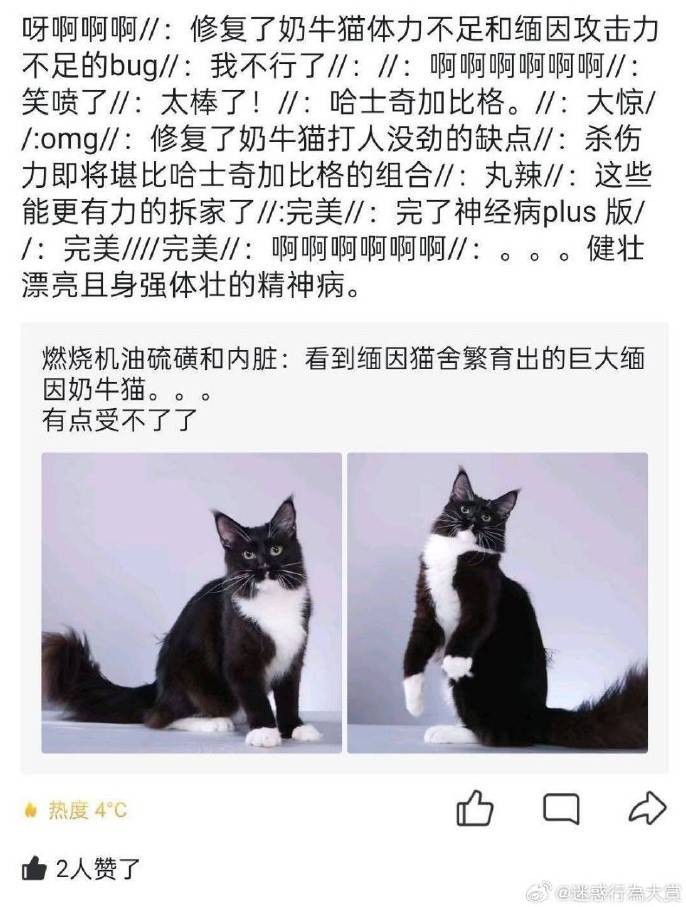 3DM����һ�̵�1604�� ��û�ȾͿ�ʼ���Ʋ�ס�۾�