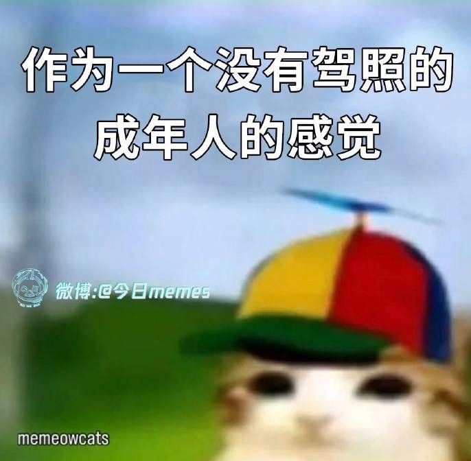 3DM����һ�̵�1604�� ��û�ȾͿ�ʼ���Ʋ�ס�۾�