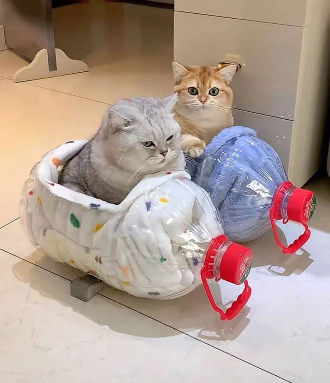 ��һ�ں���ͼ�Ʒ�ϵ�� Ů���첻��������Ҳ��������