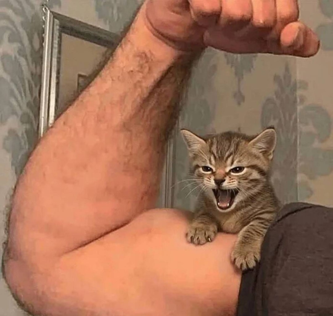 ��һ�ں���ͼ�Ʒ�ϵ�� Ů���첻��������Ҳ��������