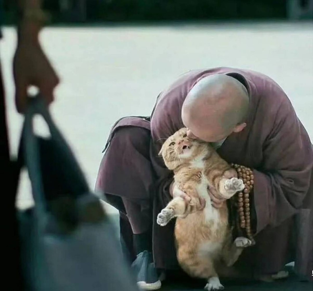 ��һ�ں���ͼ�Ʒ�ϵ�� Ů���첻��������Ҳ��������