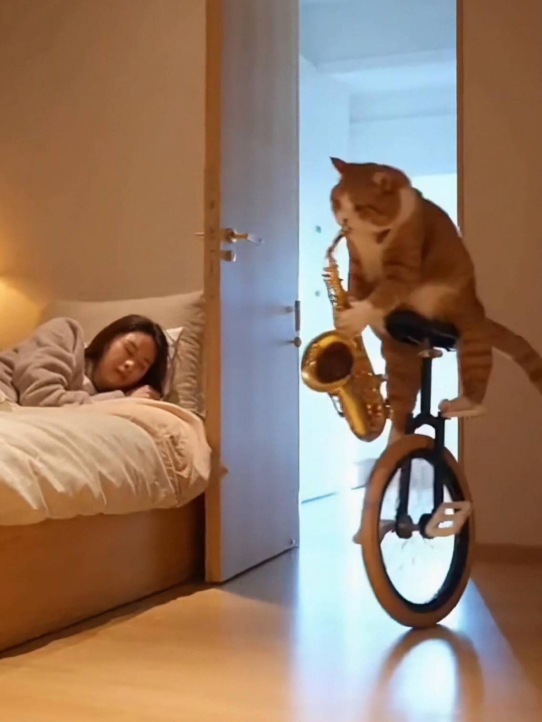 ��һ�ں���ͼ�Ʒ�ϵ�� Ů���첻��������Ҳ��������