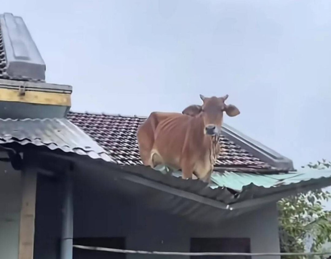 ��һ�ں���ͼ�Ʒ�ϵ�� Ů���첻��������Ҳ��������